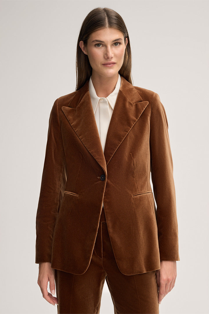 Samt-Blazer in Braun