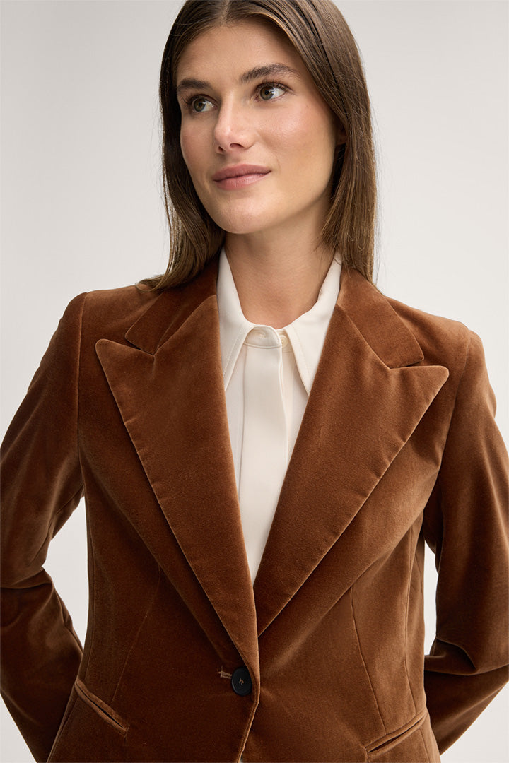 Samt-Blazer in Braun