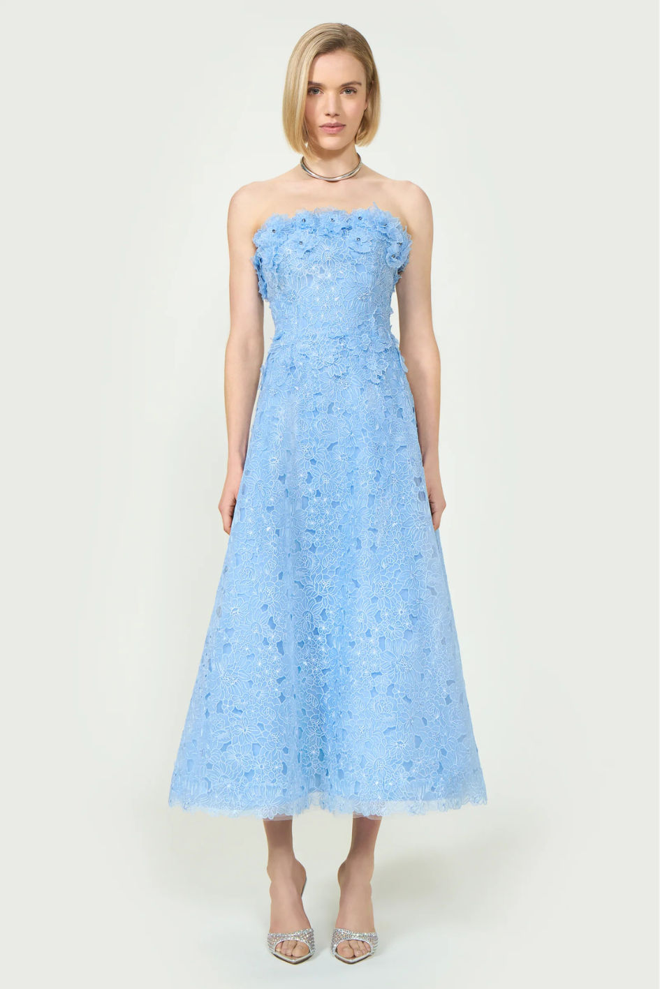 Anessa Embroidered Organza Stapless Midi Dress