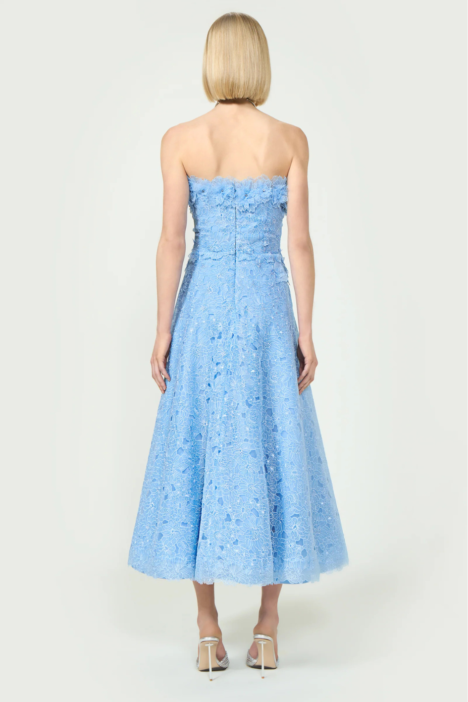 Anessa Embroidered Organza Stapless Midi Dress