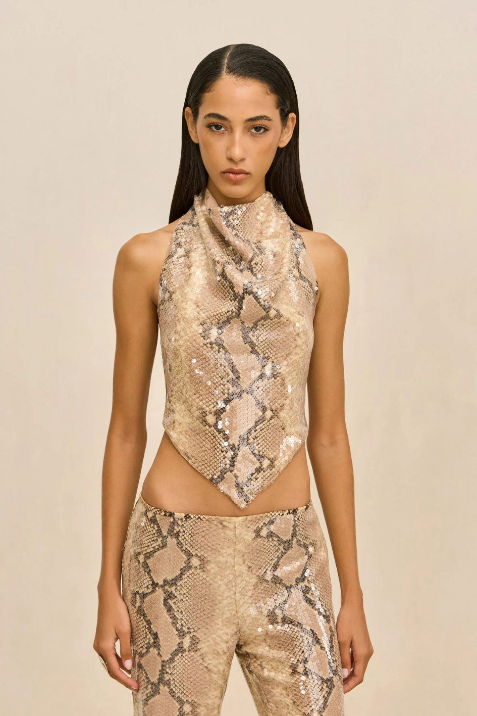 Dionea Top