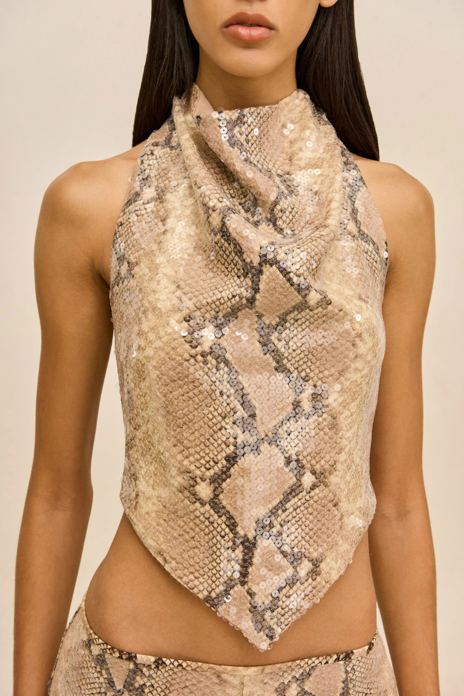 Dionea Top
