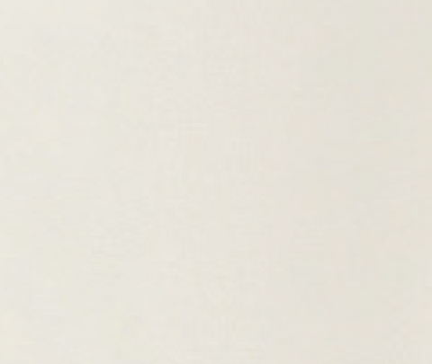 Noa Minimalistic Pants with Pleats