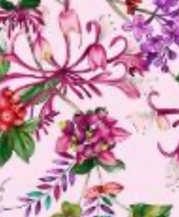 Aster Gallerie Dress