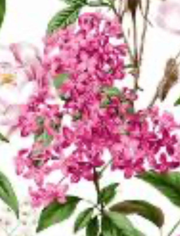 Audrey Lilac Heaven Dress