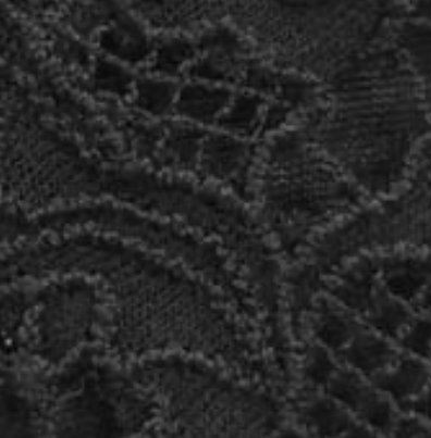 Long Sleeve Lace Turtleneck