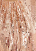 Maxi Brush Sequins Dress