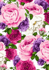Eden Rose Wallpaper Dress